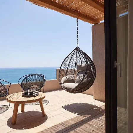 Noma Milos - Delmar Collection