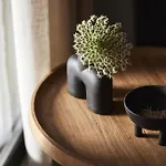 Noma Milos - Delmar Collection