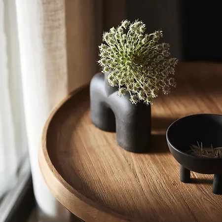 Noma Milos - Delmar Collection