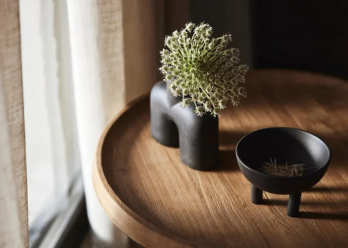 Noma Milos - Delmar Collection